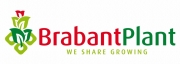 Brabant Plant